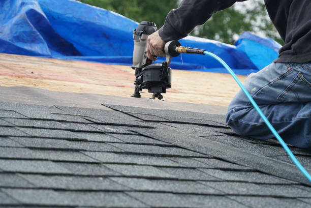 Roof Repair Estimates in Louisburg, NC